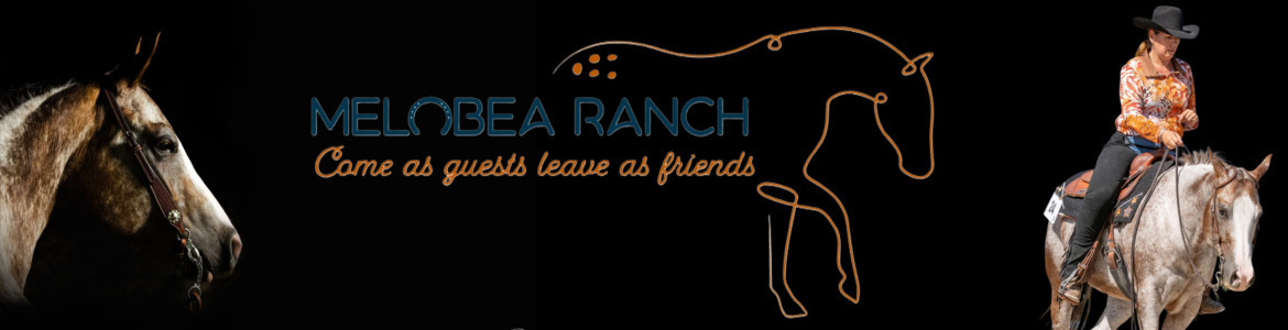Écurie le MélobéaRanch